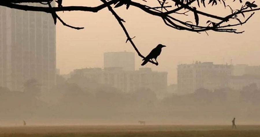 শীত আরও বাড়বে বলছে আবহাওয়া অধিদপ্তর