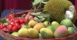 কদমতলী থানা সাংবাদিক ক্লাবের উদ্যোগে ফল উৎসব