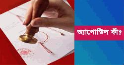 অ্যাপোস্টিল কী? কেন শিক্ষার্থীদের সচেতনতা জরুরি? 