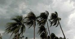 ঢাকাসহ ১৩ অঞ্চলে ঝড়ের আভাস
