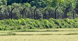 ফেনী সীমান্তে বিএসএফের গুলিতে বাংলাদেশি নিহত, আহত ১