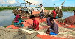 হাতিয়ার ভরা মৌসুমে সাগরে ইলিশ মাছের আকাল চলছে