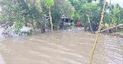 সোনাগাজীতে জোয়ারের পানিতে তলিয়ে যাচ্ছে গ্রামের পর গ্রাম