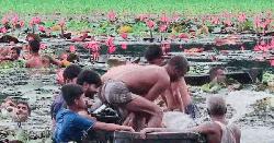 কাপাসিয়ায় শাপলা দেখতে গিয়ে নৌকাডুবে দুই বন্ধুর মৃত্যু