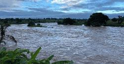 নাইজারে ভয়াবহ বন্যায় নিহত ৪৭, বাস্তুচ্যুত অর্ধলক্ষাধিক মানুষ