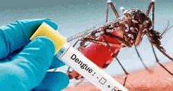 ডেঙ্গুতে ২৪ ঘণ্টায় ৫ জনের মৃত্যু