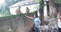 ফরিদপুরের লোকালয়ে হনুমান, মানুষের সঙ্গে গড়ছে সখ্যতা