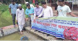 মধুখালীর বিভিন্ন জলাশয়ে ৩৩৫ কেজি মাছের পোনা অবমুক্ত
