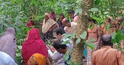 জঙ্গলে পাতায় ঢাকা মায়ের লাশ, তিন ছেলে-পুত্রবধূসহ আটক ৫