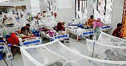 ডেঙ্গু কেড়ে নিল আরো ৬ প্রাণ
