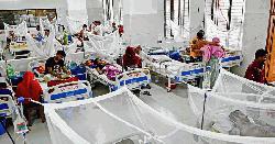 ডেঙ্গু কাড়লো আরও ৫ প্রাণ, হাসপাতালে ভর্তি ৬৬৮