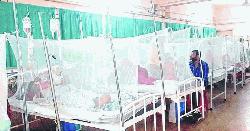 ডেঙ্গুতে আরও ২ জনের মৃত্যু