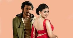 যুক্তরাষ্ট্রের ২৪টি শহরে শুভ-মন্দিরার ‘নীলচক্র’