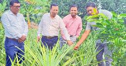ডিমলায় পার্টনার প্রকল্পের কার্যক্রম পরিদর্শনে সিনিয়ার মনিটরিং আফিসার 