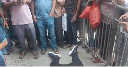 মেট্রো রেলের বিয়ারিং প্যাড খুলে পড়ে পথচারীর মৃত্যু, মেট্রো চলাচল বন্ধ