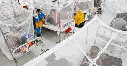 ডেঙ্গুতে আরও ৩ জনের মৃত্যু, হাসপাতালে ৯২৮