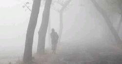 এবার শীতে ১০ শৈত্যপ্রবাহ, তিনটি হবে তীব্র মাত্রার