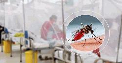 ডেঙ্গুতে আক্রান্ত হয়ে আরও ৫ জনের মৃত্যু