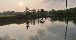 কোটালীপাড়ায় পৃথক দুটি ঘটনায় ৩ চোরকে ১ লক্ষ ২০  টাকা জরিমানা 