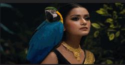 নায়িকা তিশার বিরুদ্ধে প্রতারণা মামলা