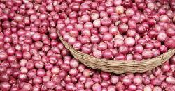 বাংলাদেশের কারণে কাঁদছে ভারতের পেঁয়াজ রপ্তানিকারকরা