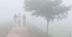 তেঁতুলিয়ায় কমলো তাপমাত্রা, বাড়ছে শীতের তীব্রতা 