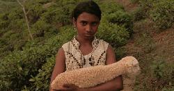 ৬ ডিসেম্বর ‘নিশি’র বাংলাদেশ প্রিমিয়ার 