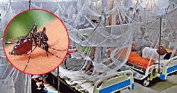 ডেঙ্গুতে আরও ৫ জনের মৃত্যু 