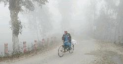 ঠান্ডায় কুড়িগ্রামে জনজীবন স্থবির