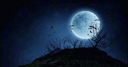 বছরের দীর্ঘতম রাত আজ