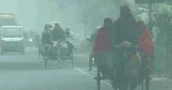 রাজশাহীতে ১০ ডিগ্রিতে তাপমাত্রা, হাড়কাঁপানো শীতে বিপর্যস্ত জনজীবন