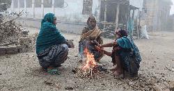 চুয়াডাঙ্গায় তাপমাত্রা ৮ ডিগ্রিতে, শীতে স্থবির জনজীবন