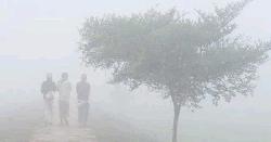 কুয়াশা ও শৈত্যপ্রবাহে স্থবির কুড়িগ্রামের জনজীবন