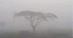 তেঁতুলিয়ায় ৬ ডিগ্রিতে নেমেছে শীতের তাপমাত্রা, বিপর্যস্ত জনজীবন