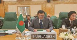 ওআইসি রাষ্ট্রগুলোর সার্বভৌমত্ব নিয়ে কোনো আপস নয়: পররাষ্ট্র উপদেষ্টা