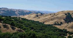 পার্বত্য শান্তি চুক্তির বাস্তবায়ন কত দূর 