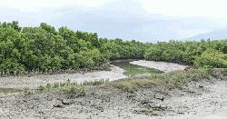 টেকনাফে সীমান্তের ওপার থেকে গুলি, আহত  ২