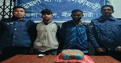 ডিমলায় পৃথক অভিযানে ইয়াবা ও গাঁজাসহ দুই মাদক কারবারি আটক