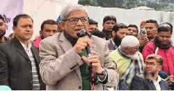 স্বাধীনতাবিরোধীদের হাতে দেশ নিরাপদ নয় : মির্জা ফখরুল