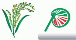 বরগুনায় আওয়ামী লীগ সমর্থিত ভোটারদের কাছে নেয়ার চেষ্টা প্রার্থীদের 