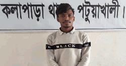 কলাপাড়ায় হাতপাখা সমর্থকের গরু চুরি, গোস্ত বিক্রির সময় আটক ১