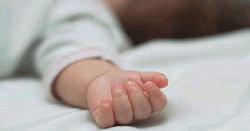 মোহনগঞ্জে অটোরিক্সা চাপায় শিশুর মৃত্যু