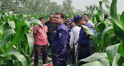 লালমনিরহাটে ভুট্টা ক্ষেত থেকে অজ্ঞাত ব্যক্তির মরদেহ উদ্ধার