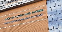 রাজধানীতে গ্যাস লিকেজ থেকে বিস্ফোরণে নারী-শিশুসহ একই পরিবারের দগ্ধ ১০