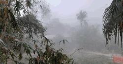 কুয়াশার চাদরে ফরিদপুর, ফাল্গুনে শীতের আমেজ 