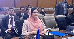 জাতির ভবিষ্যৎ শিশুদের যত্ন, শিক্ষা ও মূল্যবোধের ওপর নির্ভরশীল: গ্লোবাল সামিটে ডা. জুবাইদা