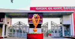 'অপপ্রচারে ব্রির গবেষণায় শঙ্কা' গবেষণা ও প্রশাসন সচল রাখার দাবি