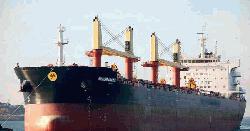 যুক্তরাষ্ট্র থেকে এলো ৬১ হাজার টন গম