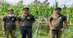 শেরপুরে বন্য হাতি ঠেকাতে বিদ্যুৎ ফাঁদ, অভিযানে লাইন বিচ্ছিন্ন