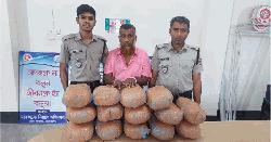 নেত্রকোনায় ২৮ কেজি গাঁজাসহ মাদক ব্যবসায়ী আটক  